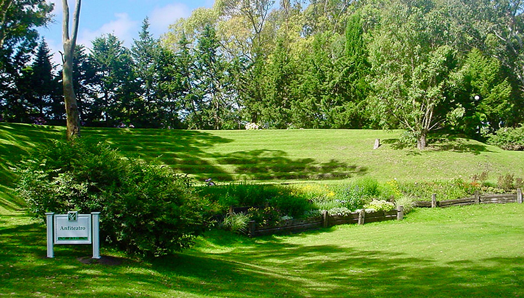 Hotel del Bosque