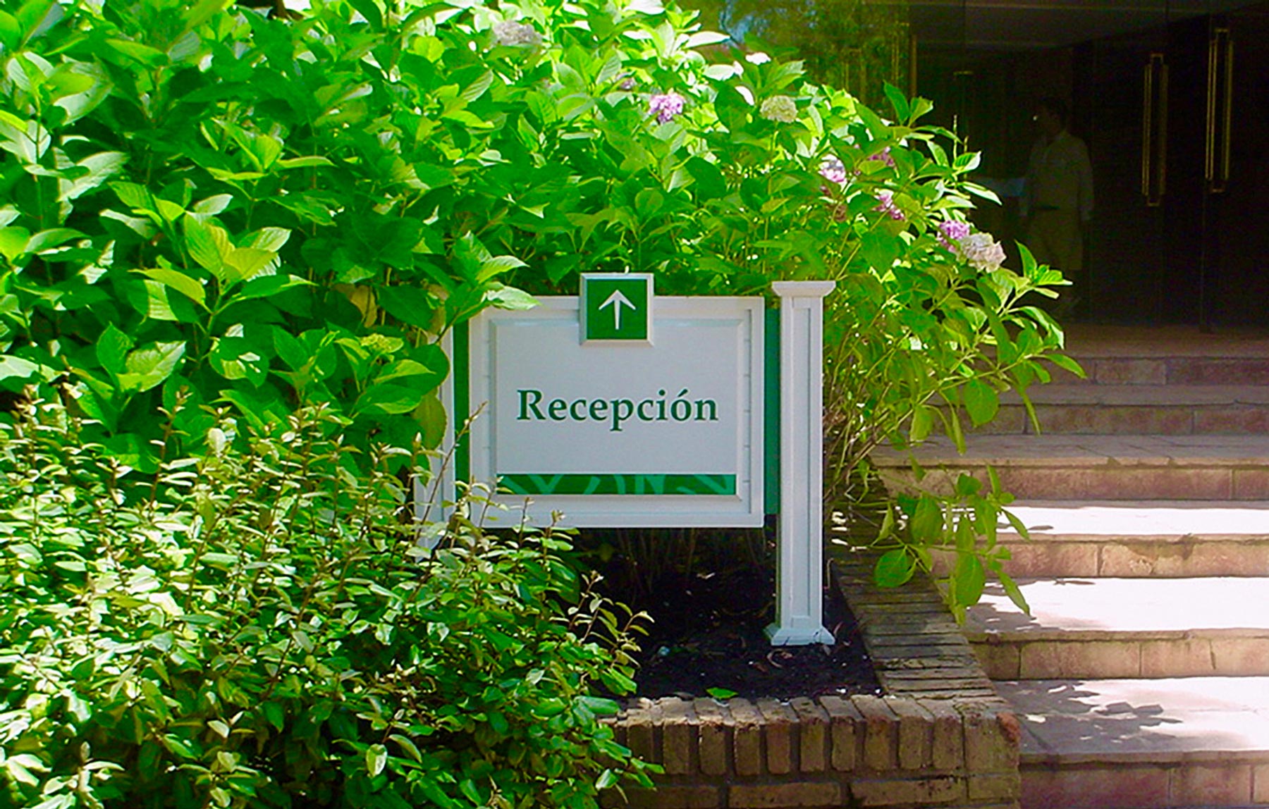 Hotel del Bosque