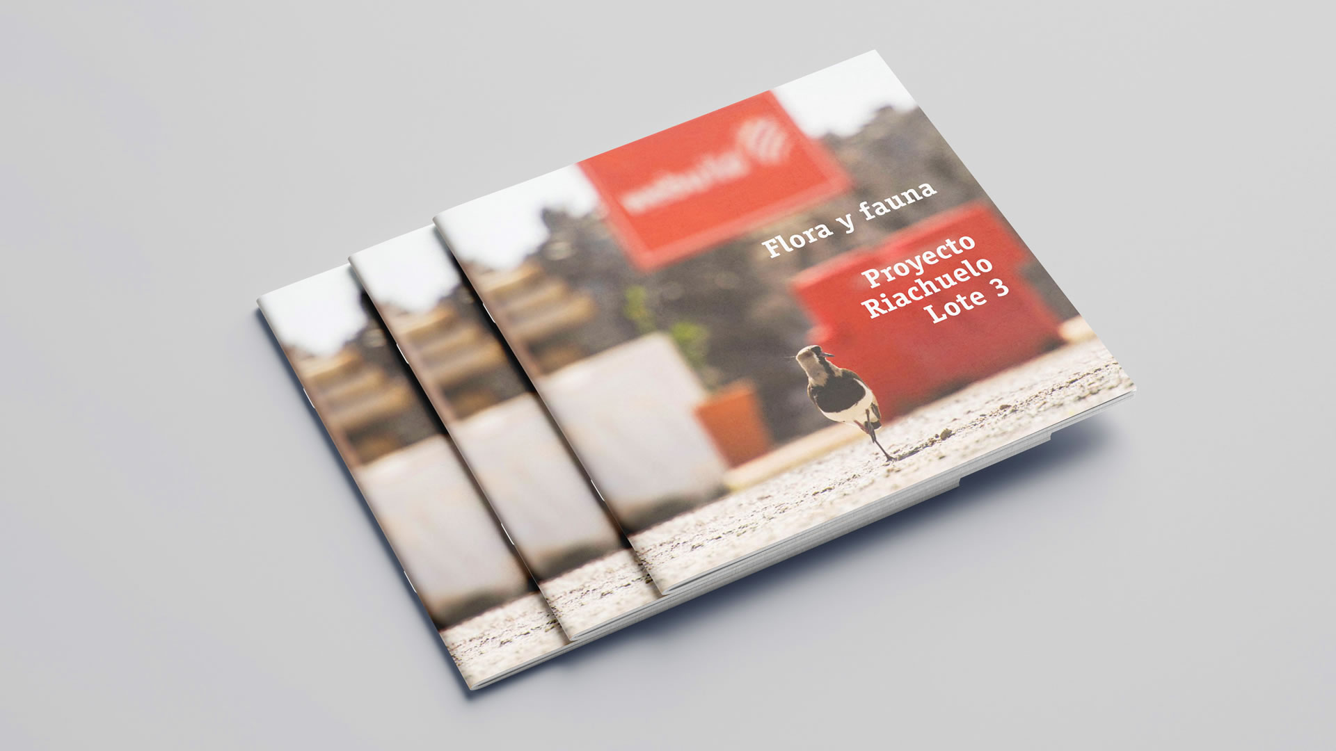 Webuild. Flora y Fauna. Proyecto Riachuelo 3