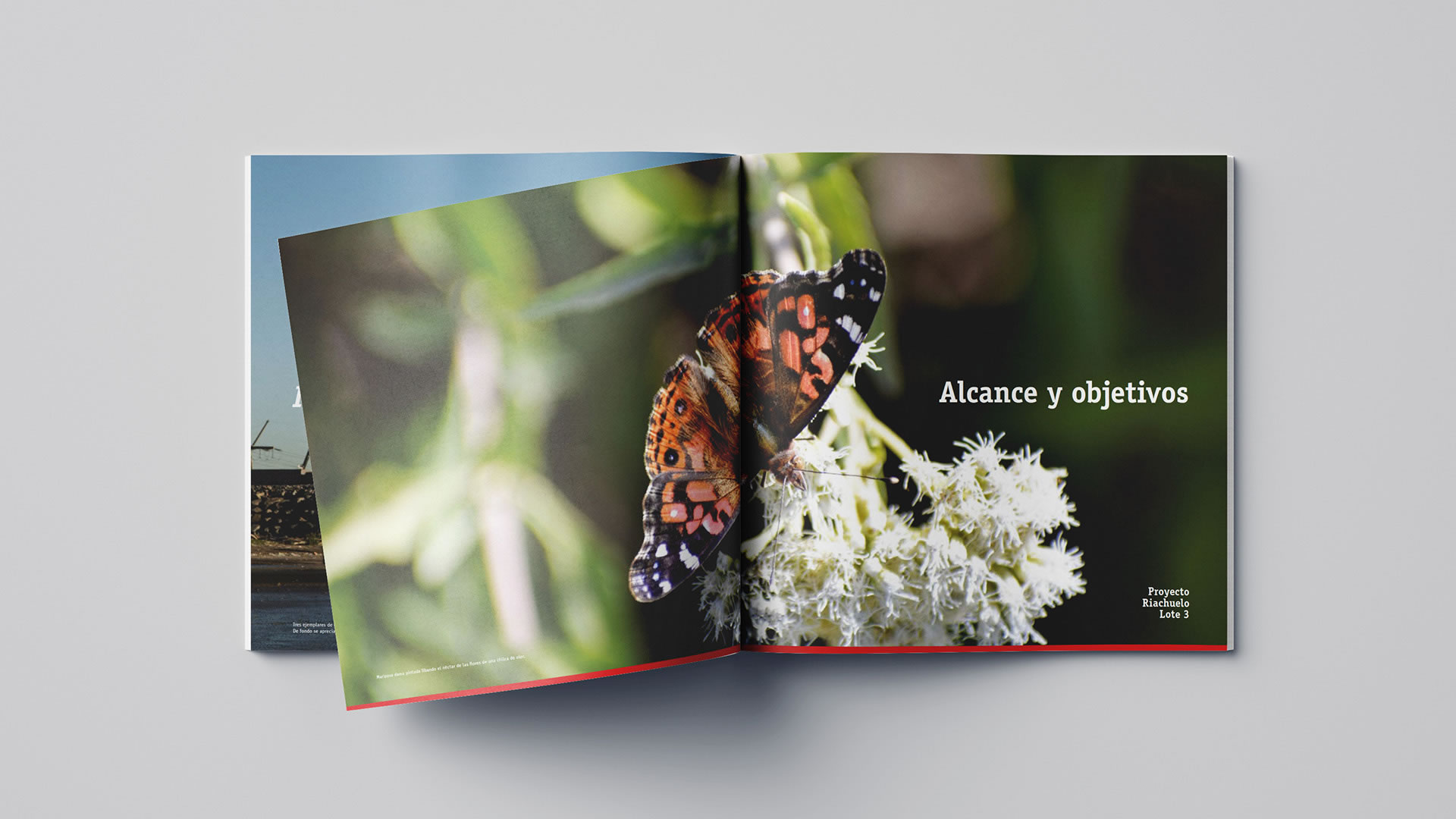 Webuild. Flora y Fauna. Proyecto Riachuelo 3