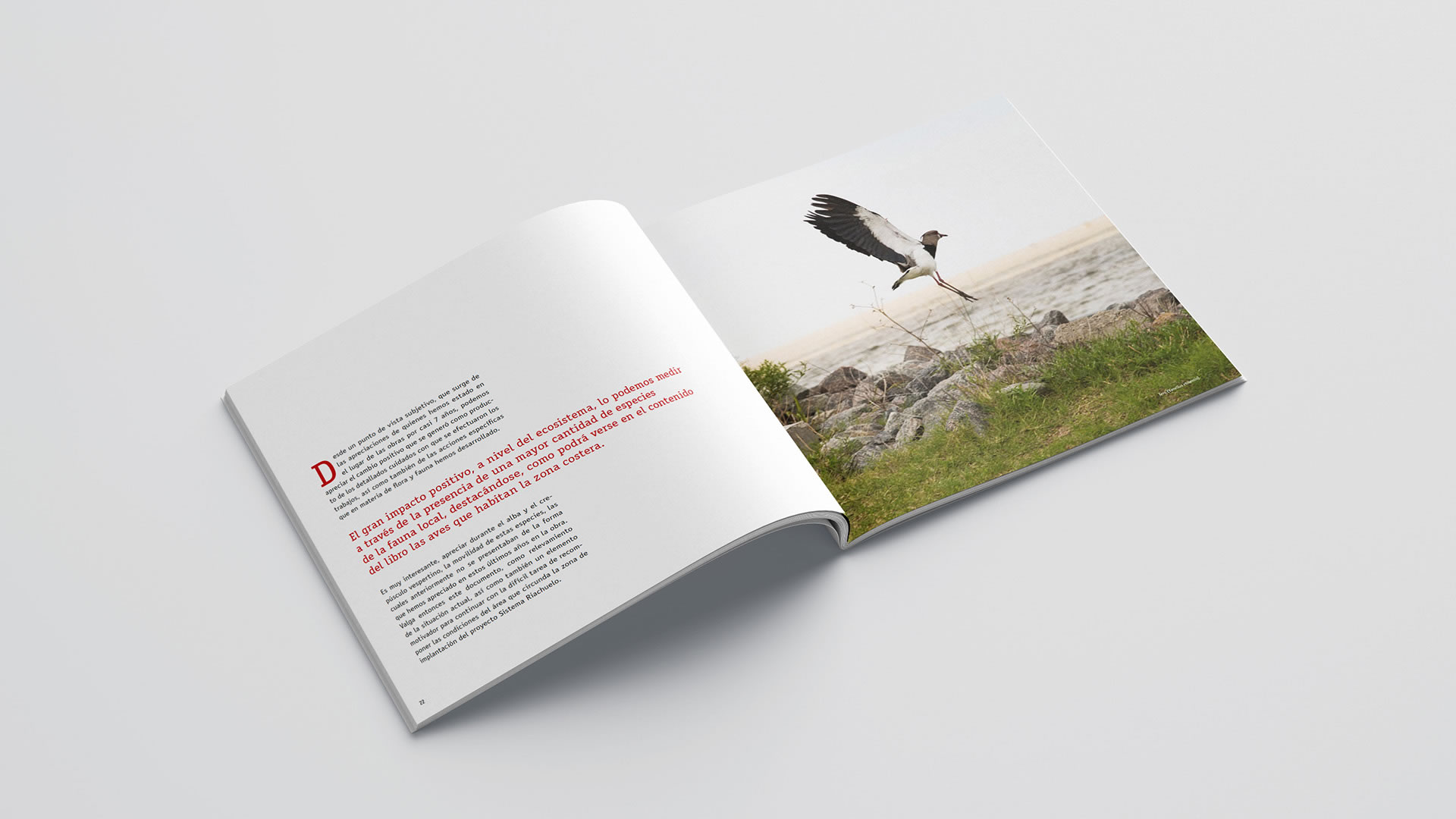 Webuild. Flora y Fauna. Proyecto Riachuelo 3