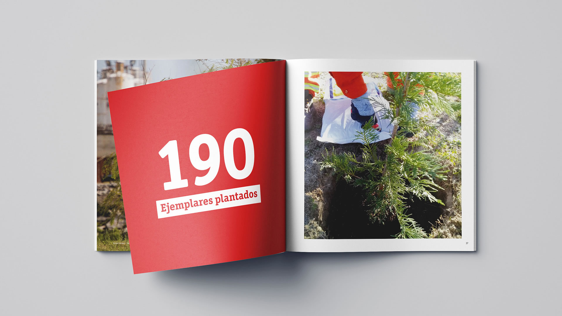 Webuild. Flora y Fauna. Proyecto Riachuelo 3