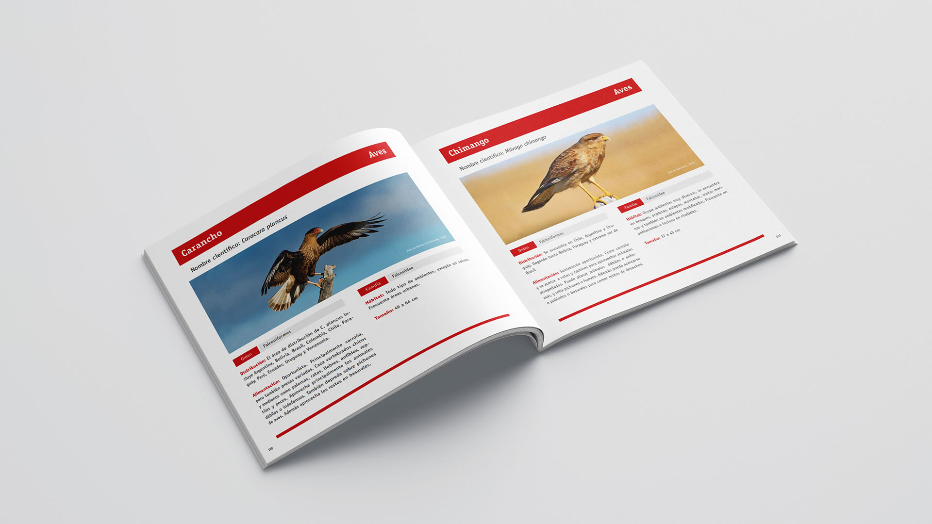 Webuild. Flora y Fauna. Proyecto Riachuelo 3