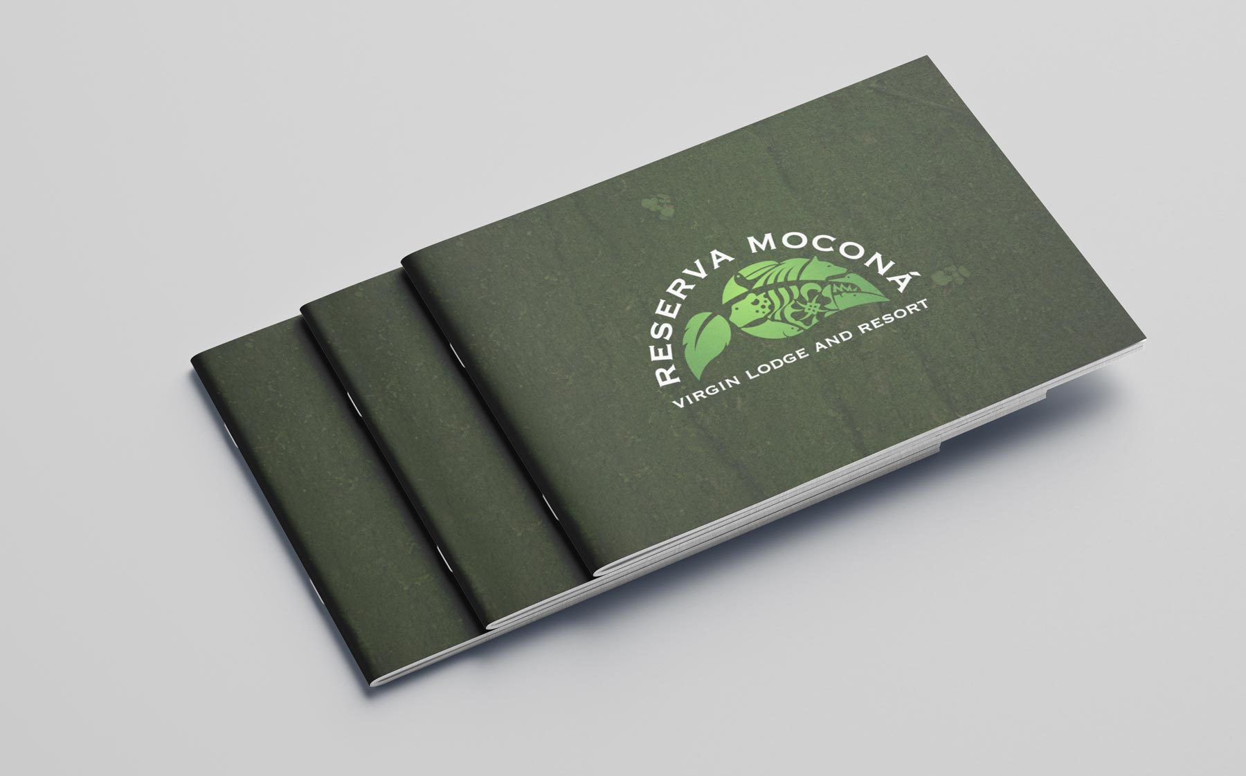 Reserva Moconá
