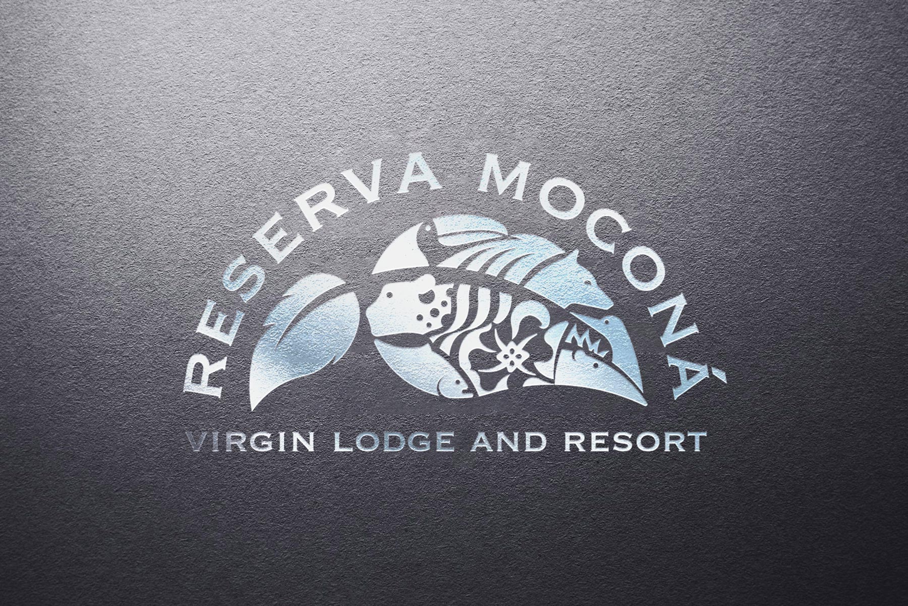 Reserva Moconá