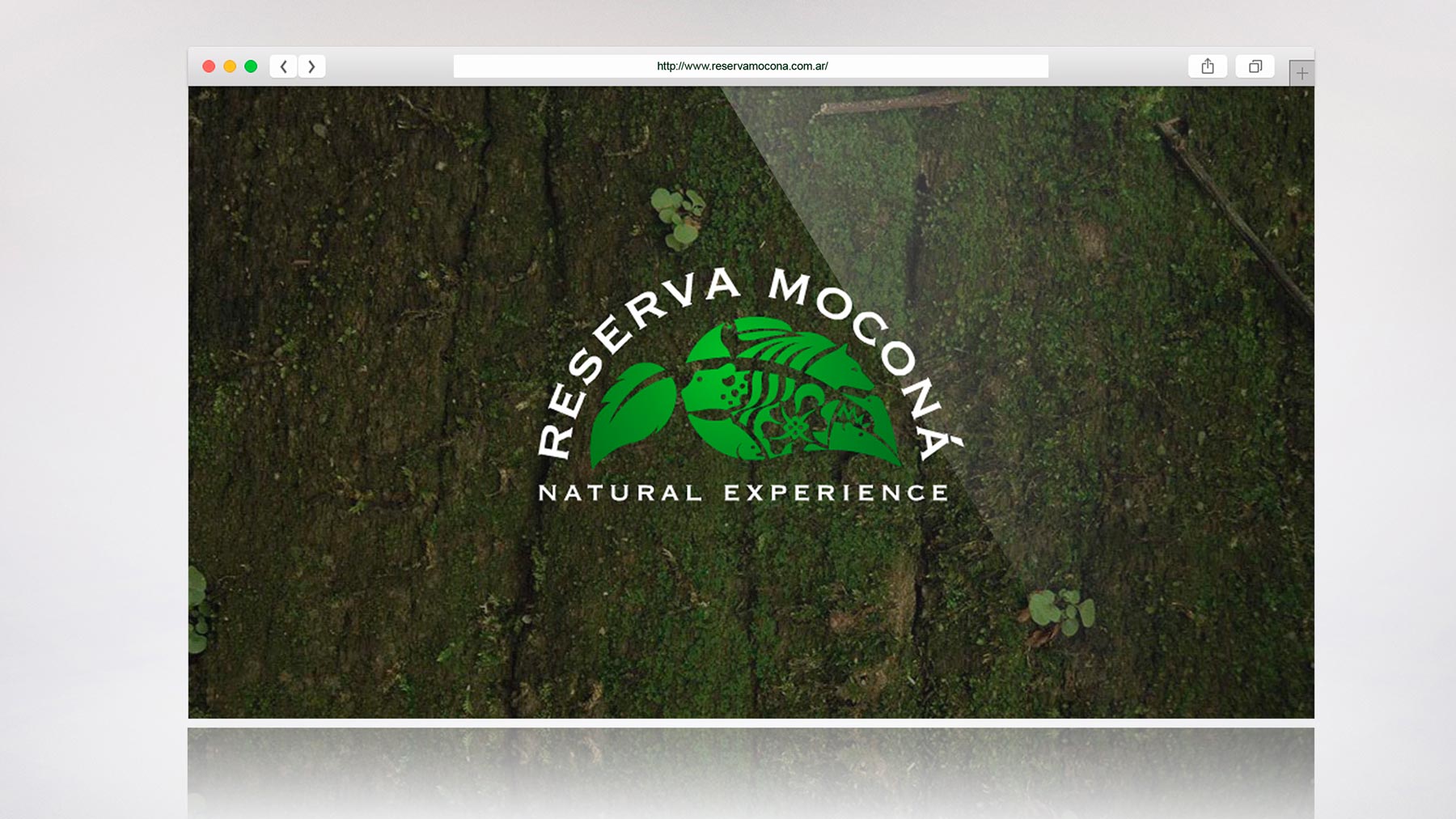 Reserva Moconá