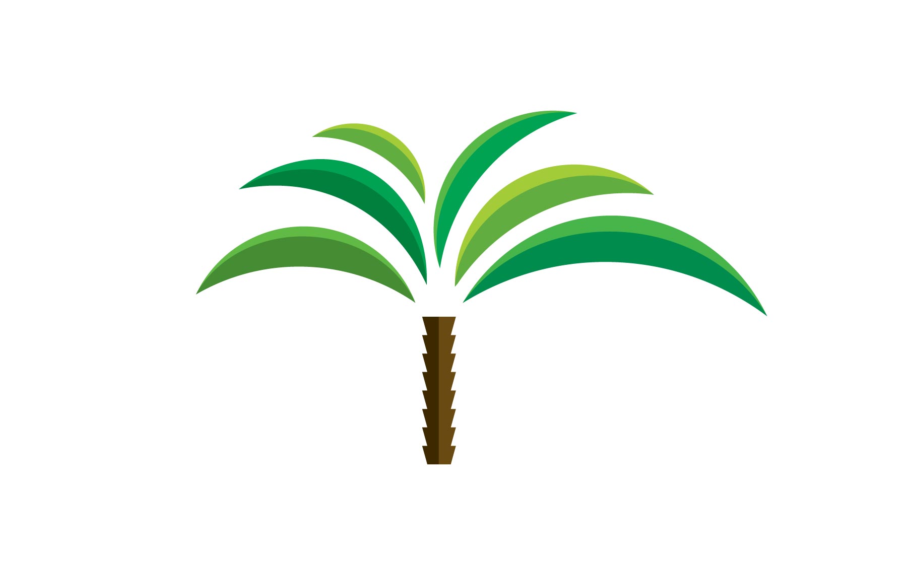 Pindó